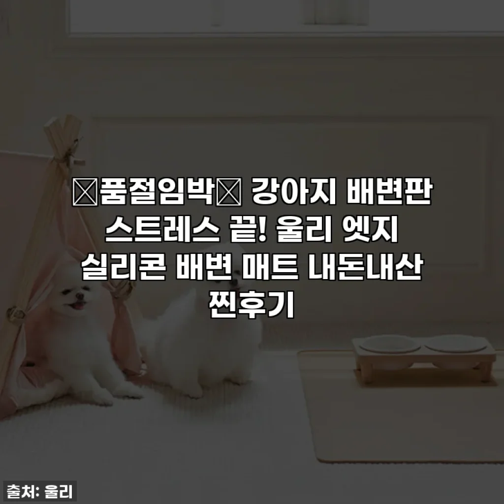 🚨품절임박🚨 강아지 배변판 스트레스 끝! 울리 엣지 실리콘 배변 매트 내돈내산 찐후기