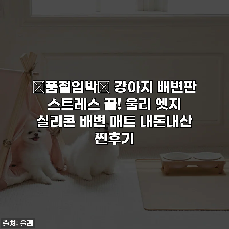 🚨품절임박🚨 강아지 배변판 스트레스 끝! 울리 엣지 실리콘 배변 매트 내돈내산 찐후기