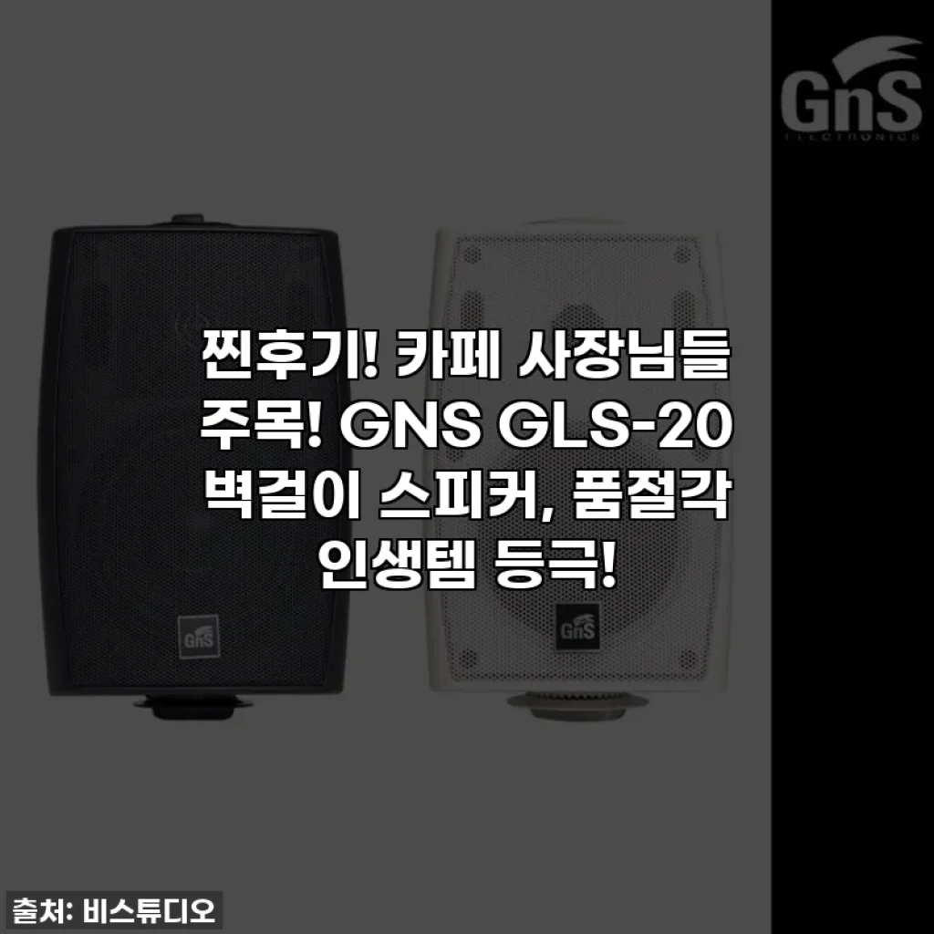 찐후기! 카페 사장님들 주목! GNS GLS-20 벽걸이 스피커, 품절각 인생템 등극!