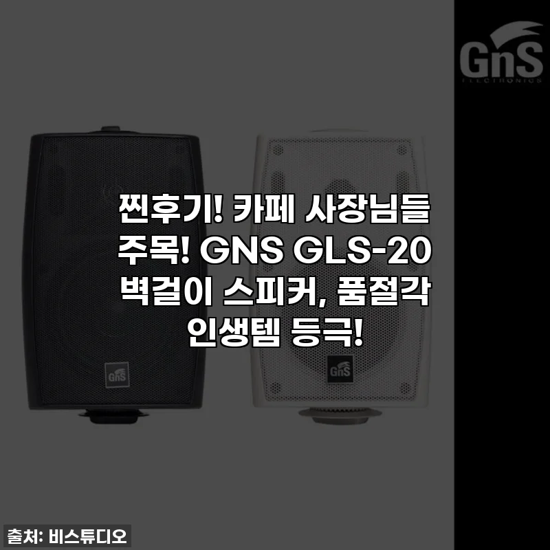 찐후기! 카페 사장님들 주목! GNS GLS-20 벽걸이 스피커, 품절각 인생템 등극!