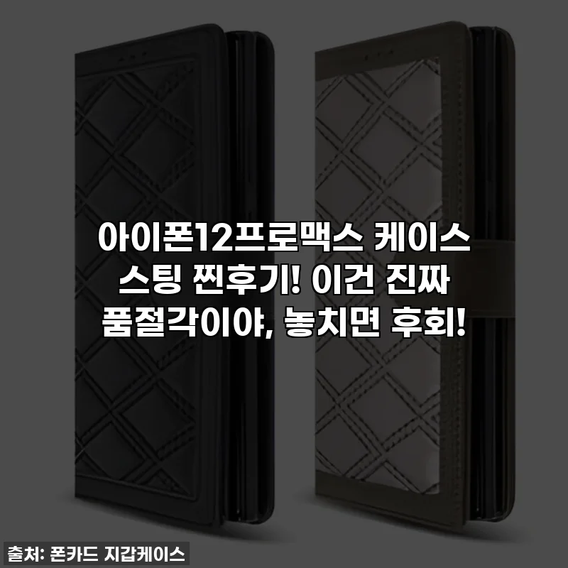 아이폰12프로맥스 케이스 스팅 찐후기! 이건 진짜 품절각이야, 놓치면 후회!