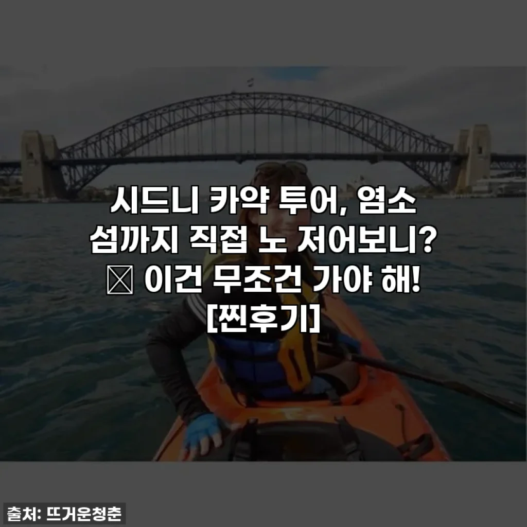 시드니 카약 투어, 염소 섬까지 직접 노 저어보니? 🛶 이건 무조건 가야 해! [찐후기]