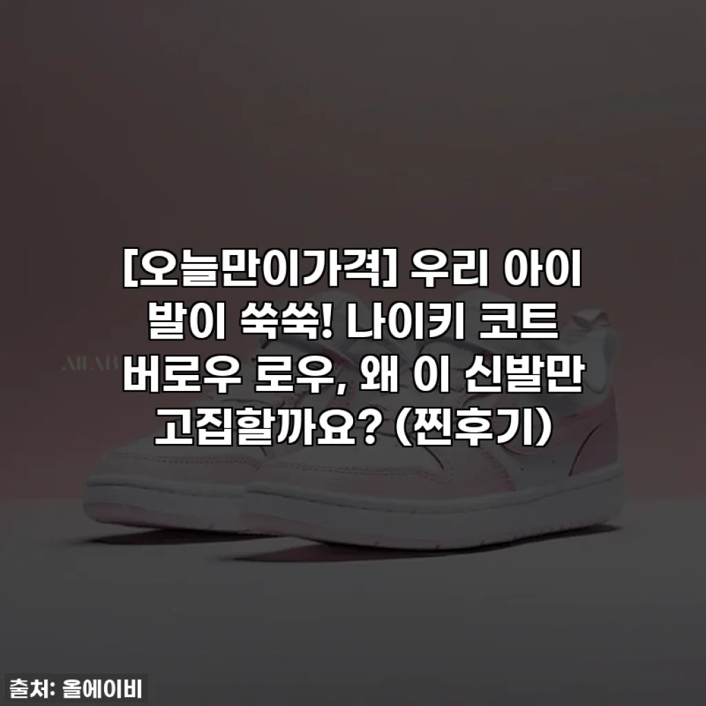 [오늘만이가격] 우리 아이 발이 쑥쑥! 나이키 코트 버로우 로우, 왜 이 신발만 고집할까요? (찐후기)
