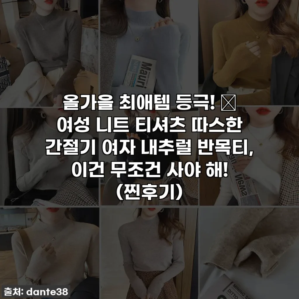 올가을 최애템 등극! 🍁 여성 니트 티셔츠 따스한 간절기 여자 내추럴 반목티, 이건 무조건 사야 해! (찐후기)