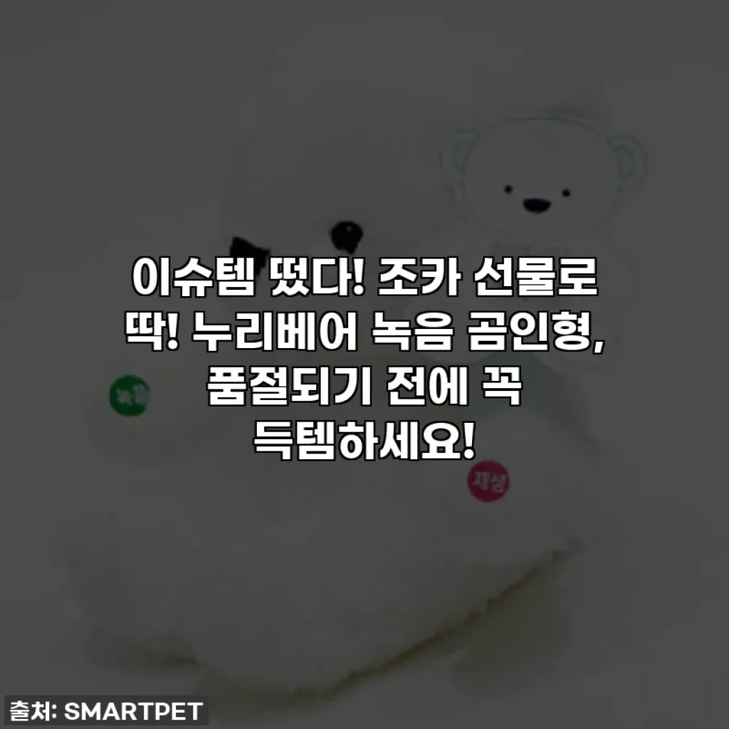 이슈템 떴다! 조카 선물로 딱! 누리베어 녹음 곰인형, 품절되기 전에 꼭 득템하세요!