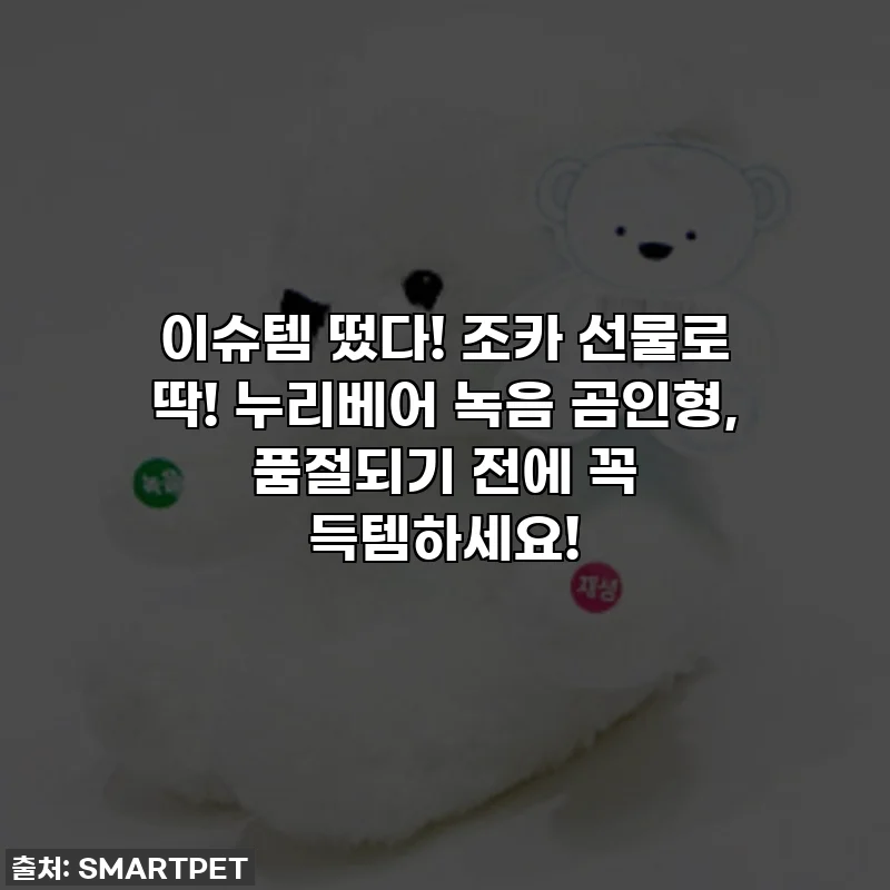 이슈템 떴다! 조카 선물로 딱! 누리베어 녹음 곰인형, 품절되기 전에 꼭 득템하세요!