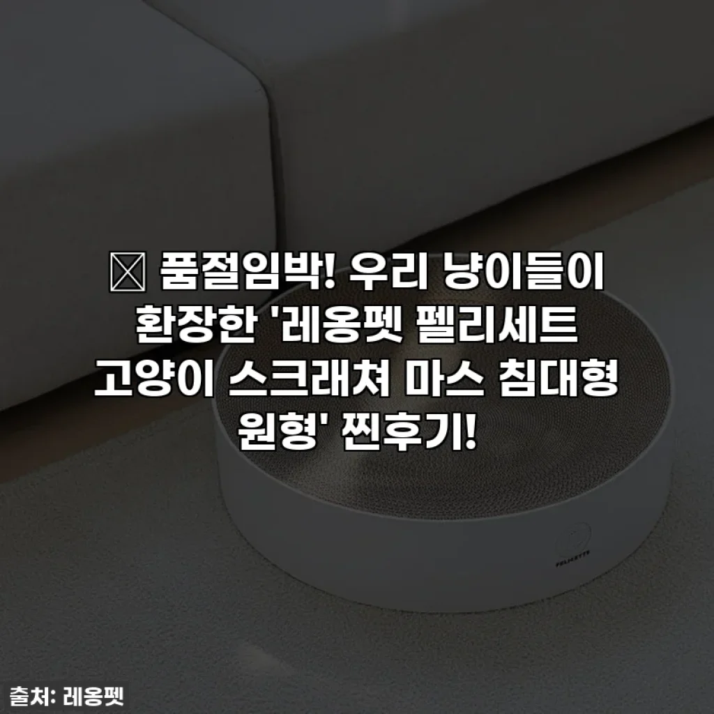🎁 품절임박! 우리 냥이들이 환장한 '레옹펫 펠리세트 고양이 스크래쳐 마스 침대형 원형' 찐후기!