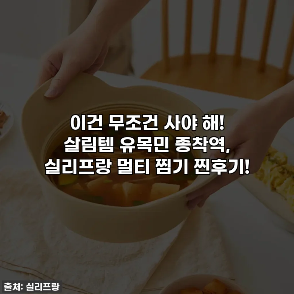이건 무조건 사야 해! 살림템 유목민 종착역, 실리프랑 멀티 찜기 찐후기!