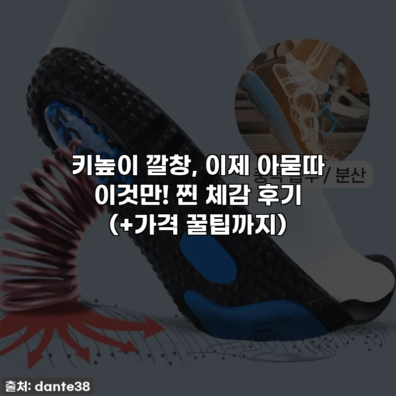 키높이 깔창, 이제 아묻따 이것만! 찐 체감 후기 (+가격 꿀팁까지)