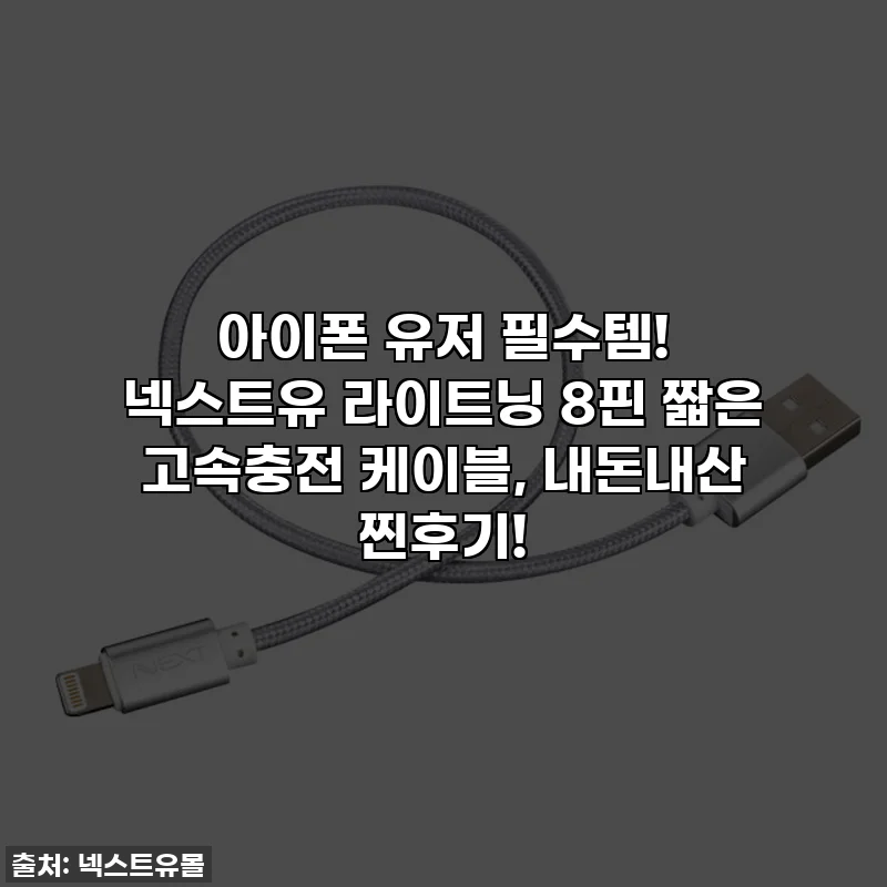 아이폰 유저 필수템! 넥스트유 라이트닝 8핀 짧은 고속충전 케이블, 내돈내산 찐후기!