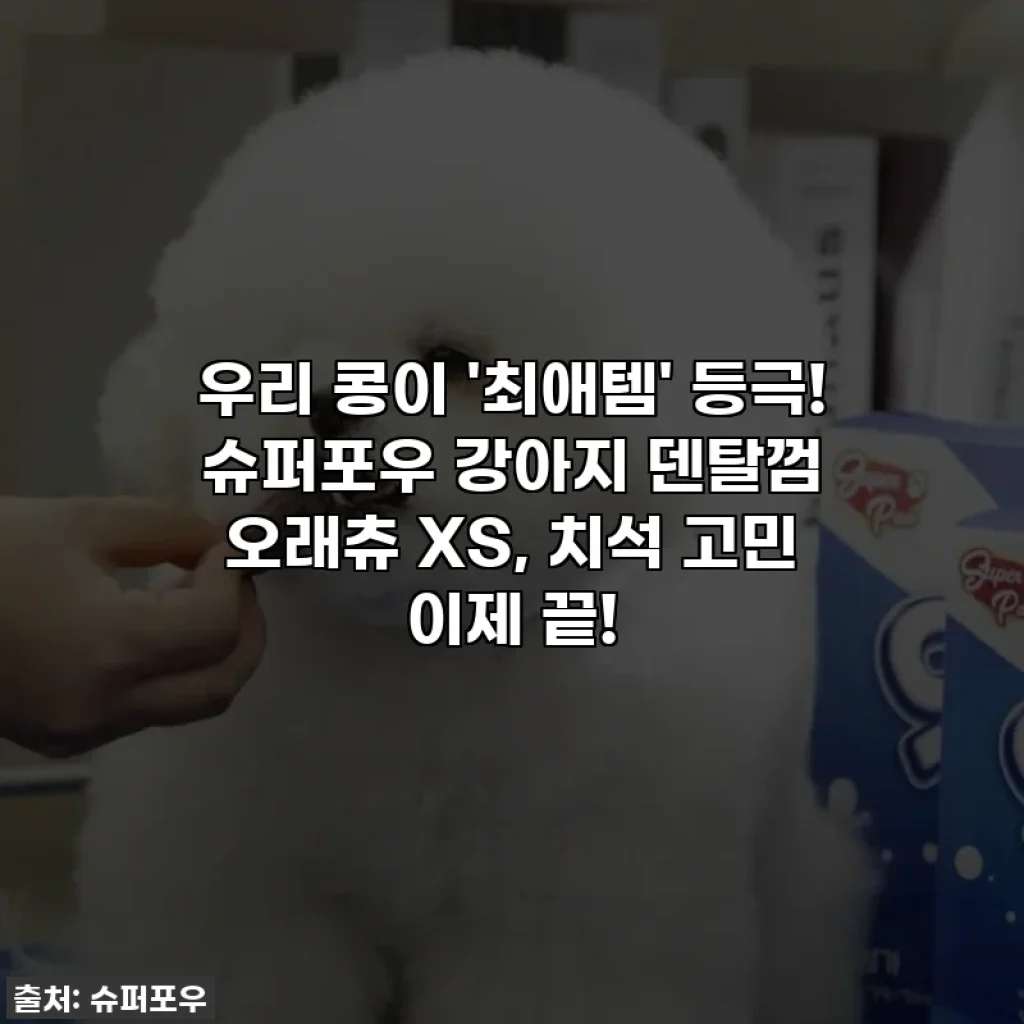 우리 콩이 '최애템' 등극! 슈퍼포우 강아지 덴탈껌 오래츄 XS, 치석 고민 이제 끝!