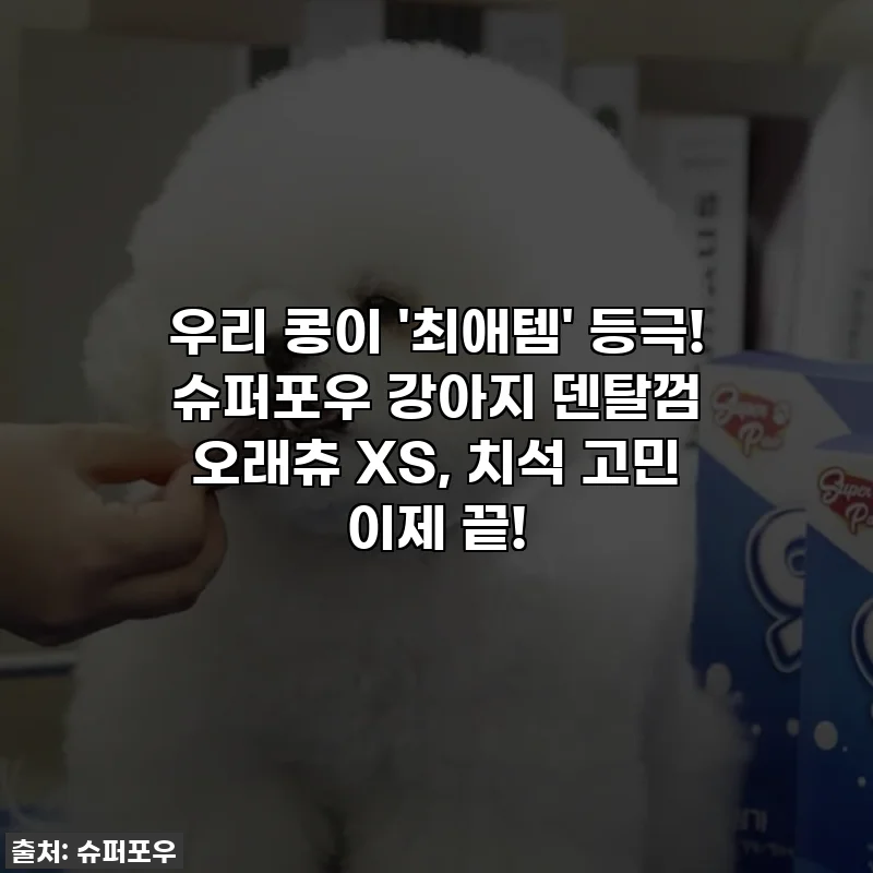 우리 콩이 '최애템' 등극! 슈퍼포우 강아지 덴탈껌 오래츄 XS, 치석 고민 이제 끝!