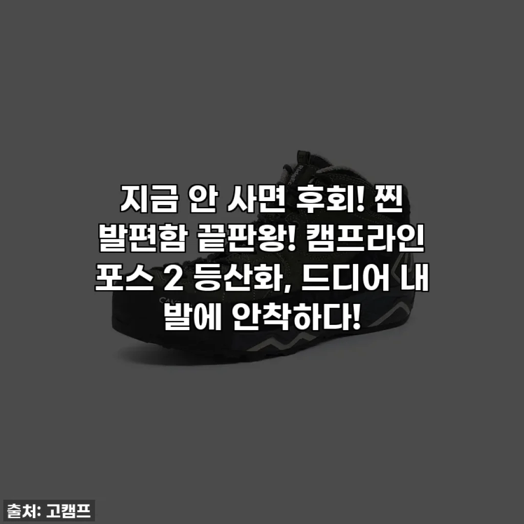 지금 안 사면 후회! 찐 발편함 끝판왕! 캠프라인 포스 2 등산화, 드디어 내 발에 안착하다!