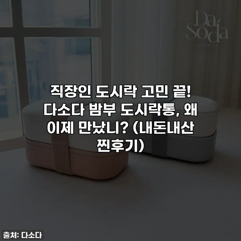 직장인 도시락 고민 끝! 다소다 밤부 도시락통, 왜 이제 만났니? (내돈내산 찐후기)
