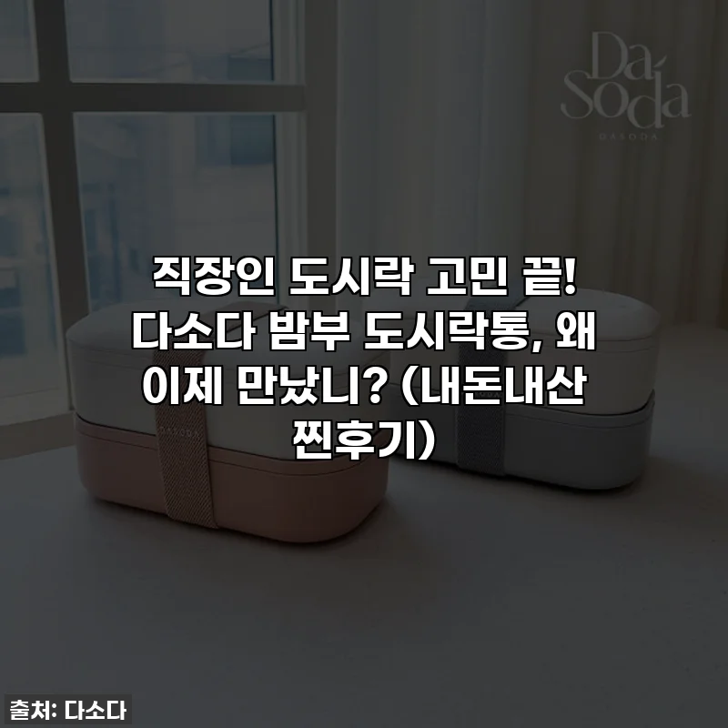 직장인 도시락 고민 끝! 다소다 밤부 도시락통, 왜 이제 만났니? (내돈내산 찐후기)