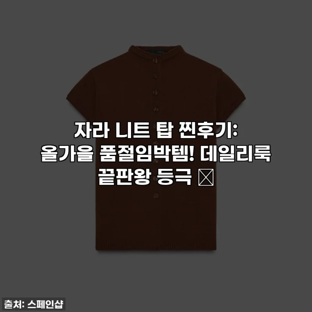 자라 니트 탑 찐후기: 올가을 품절임박템! 데일리룩 끝판왕 등극 ✨