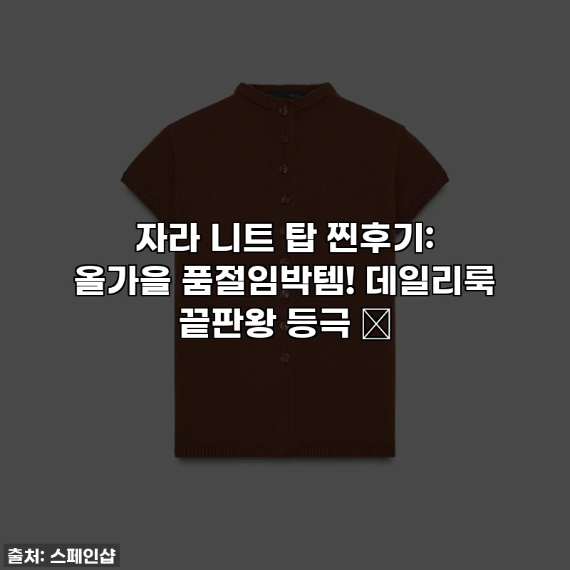 자라 니트 탑 찐후기: 올가을 품절임박템! 데일리룩 끝판왕 등극 ✨