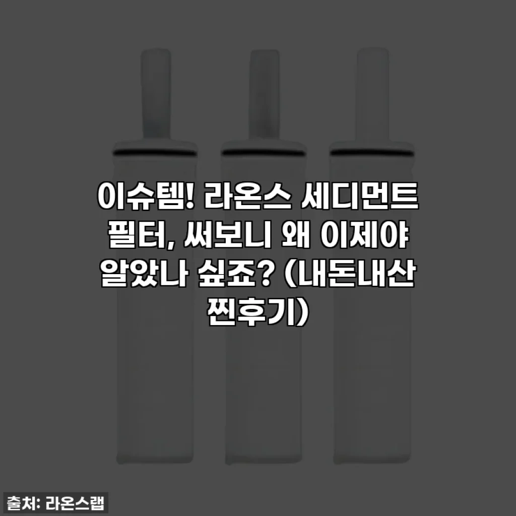 이슈템! 라온스 세디먼트 필터, 써보니 왜 이제야 알았나 싶죠? (내돈내산 찐후기)