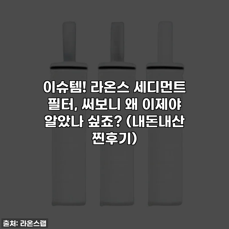 이슈템! 라온스 세디먼트 필터, 써보니 왜 이제야 알았나 싶죠? (내돈내산 찐후기)