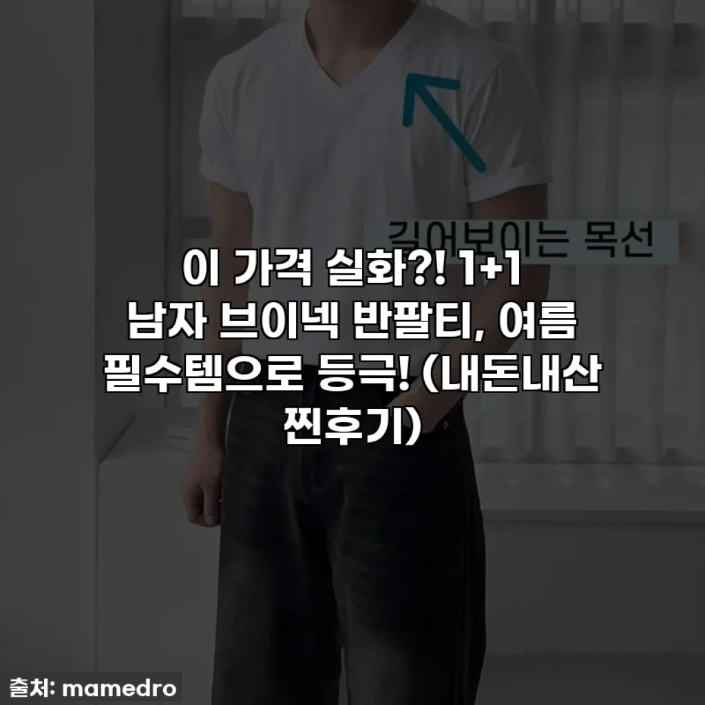 이 가격 실화?! 1+1 남자 브이넥 반팔티, 여름 필수템으로 등극! (내돈내산 찐후기)