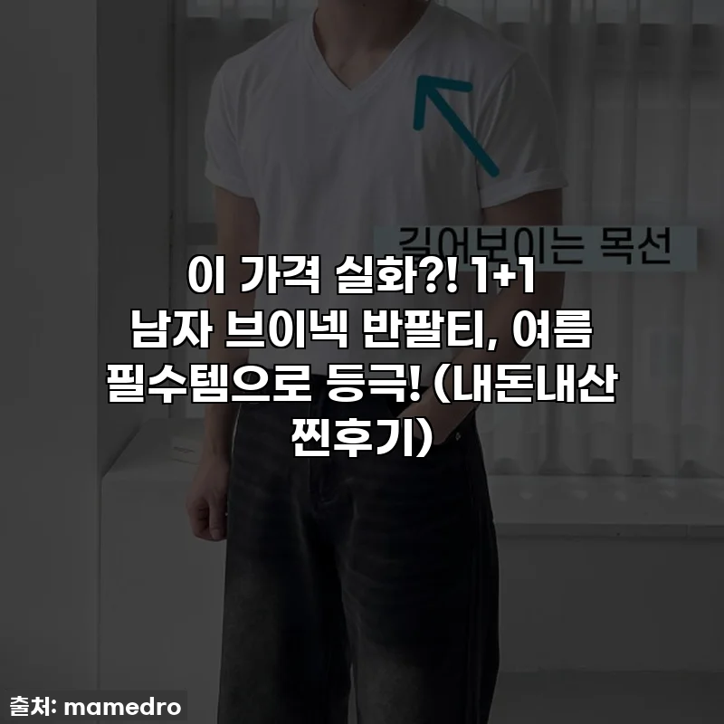 이 가격 실화?! 1+1 남자 브이넥 반팔티, 여름 필수템으로 등극! (내돈내산 찐후기)