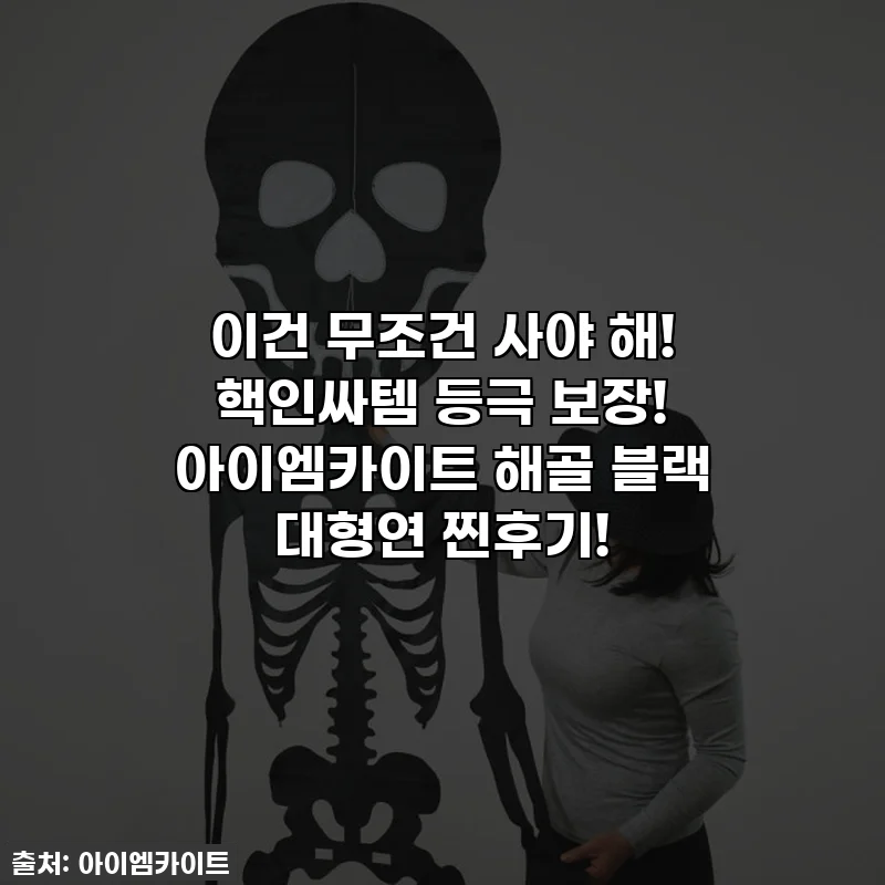 이건 무조건 사야 해! 핵인싸템 등극 보장! 아이엠카이트 해골 블랙 대형연 찐후기!