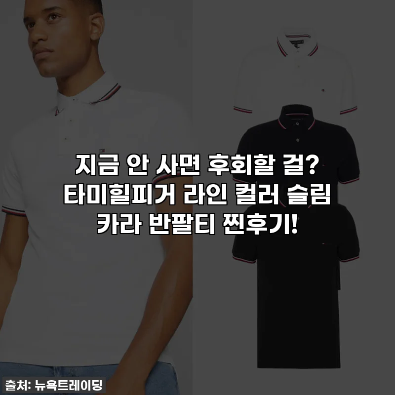 지금 안 사면 후회할 걸? 타미힐피거 라인 컬러 슬림 카라 반팔티 찐후기!