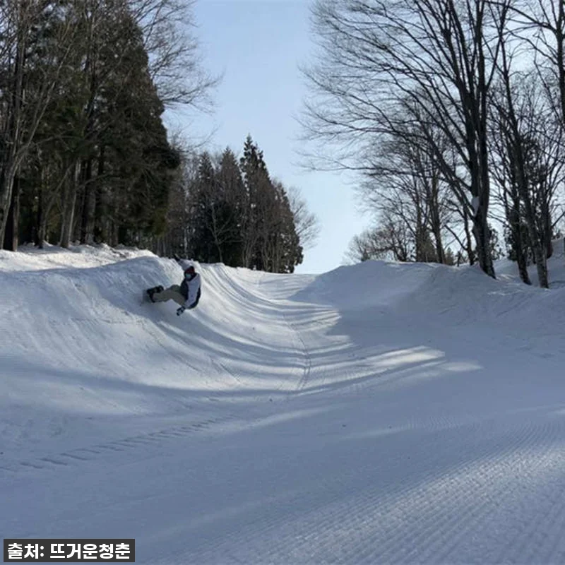 ❄️겨울왕국 제대로 즐기는 법! 일본 관련 이미지 2