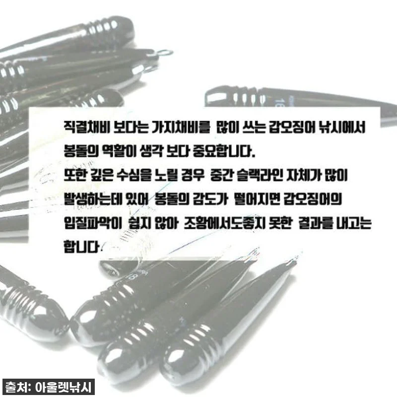 찐후기: 쭈꾸미 갑오징어 낚시의 신세 관련 이미지 3