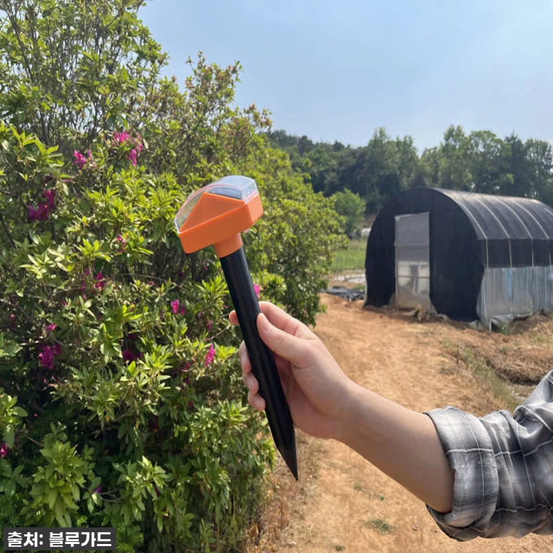찐후기! 품절임박 '싹보내 태양광 두 관련 이미지 4