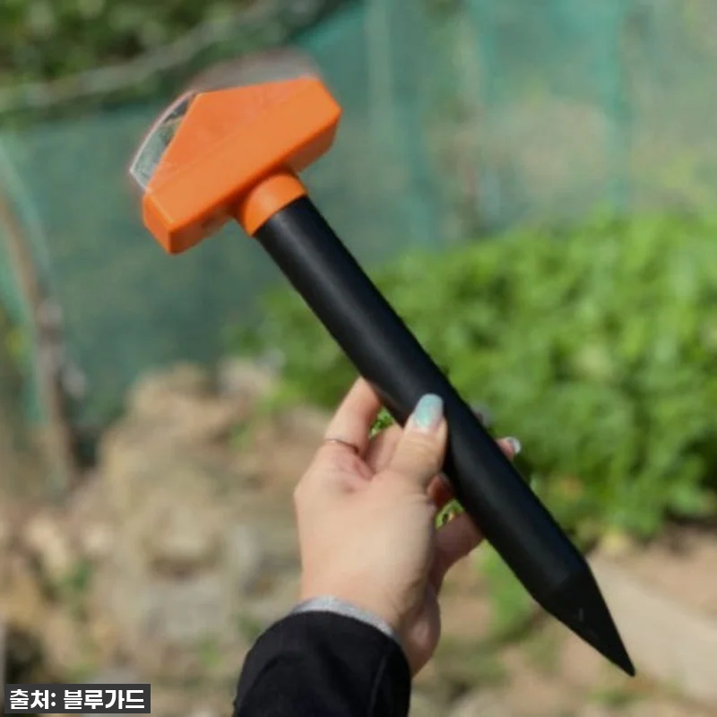 찐후기! 품절임박 '싹보내 태양광 두 관련 이미지 6