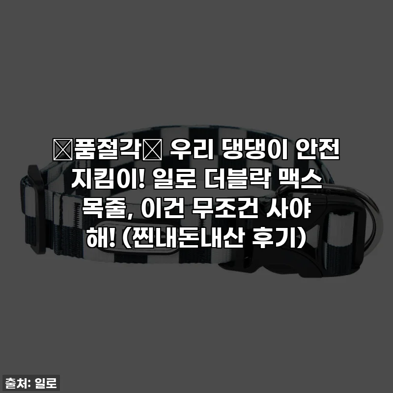 🚨품절각🚨 우리 댕댕이 안전 지킴이! 일로 더블락 맥스 목줄, 이건 무조건 사야 해! (찐내돈내산 후기)