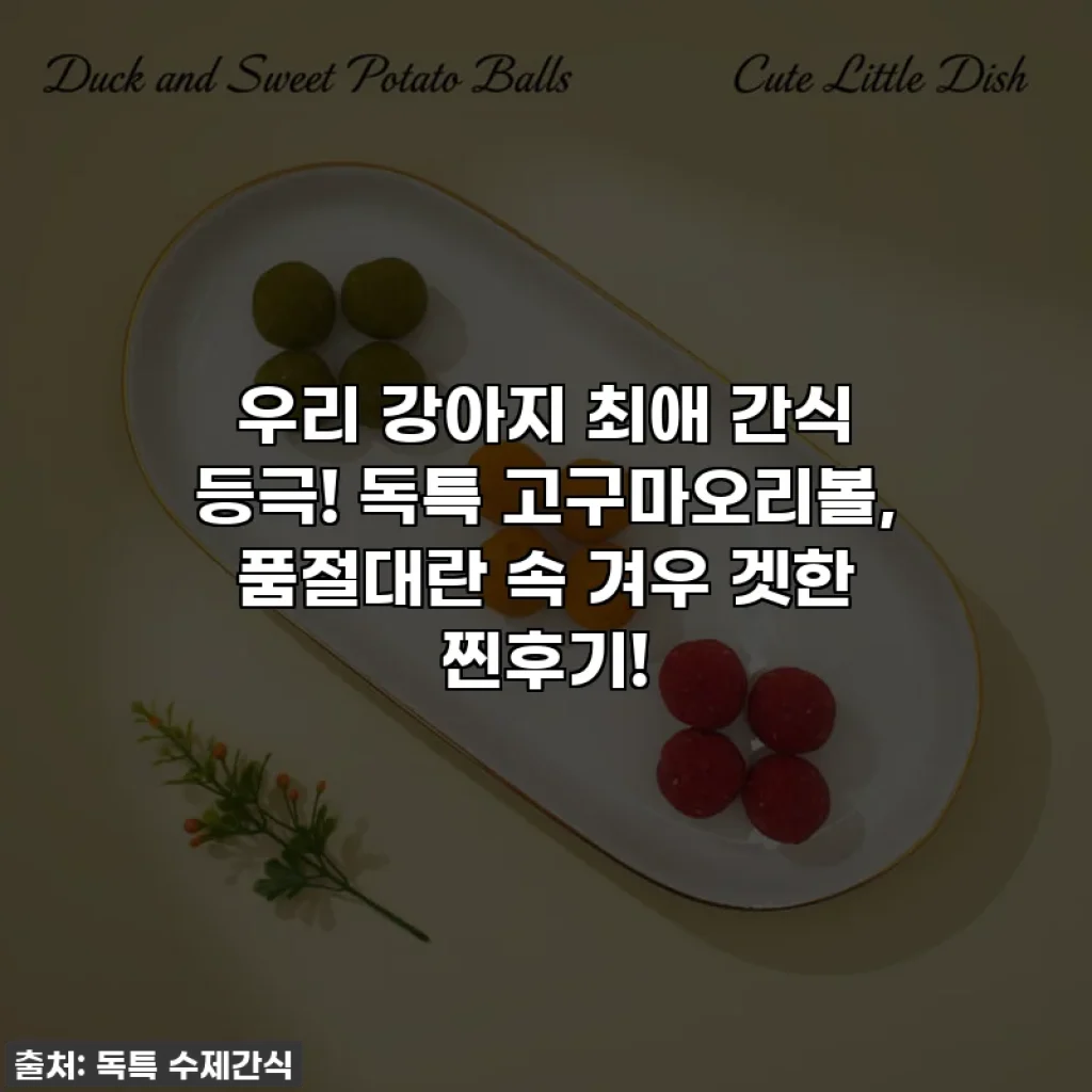 우리 강아지 최애 간식 등극! 독특 고구마오리볼, 품절대란 속 겨우 겟한 찐후기!