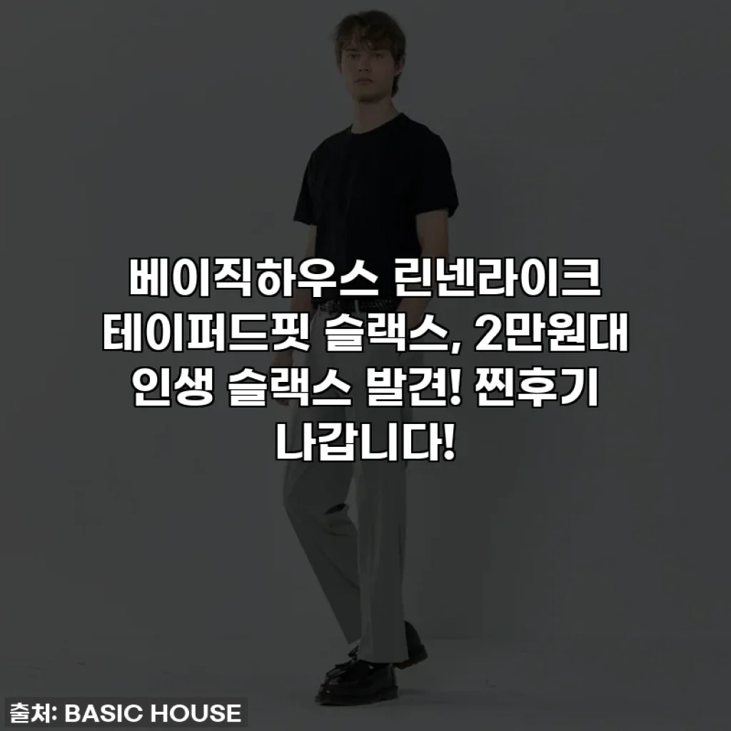 베이직하우스 린넨라이크 테이퍼드핏 슬랙스, 2만원대 인생 슬랙스 발견! 찐후기 나갑니다!