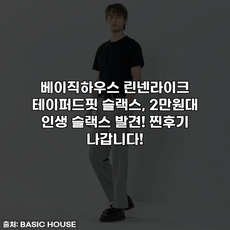 베이직하우스 린넨라이크 테이퍼드핏 슬랙스, 2만원대 인생 슬랙스 발견! 찐후기 나갑니다!