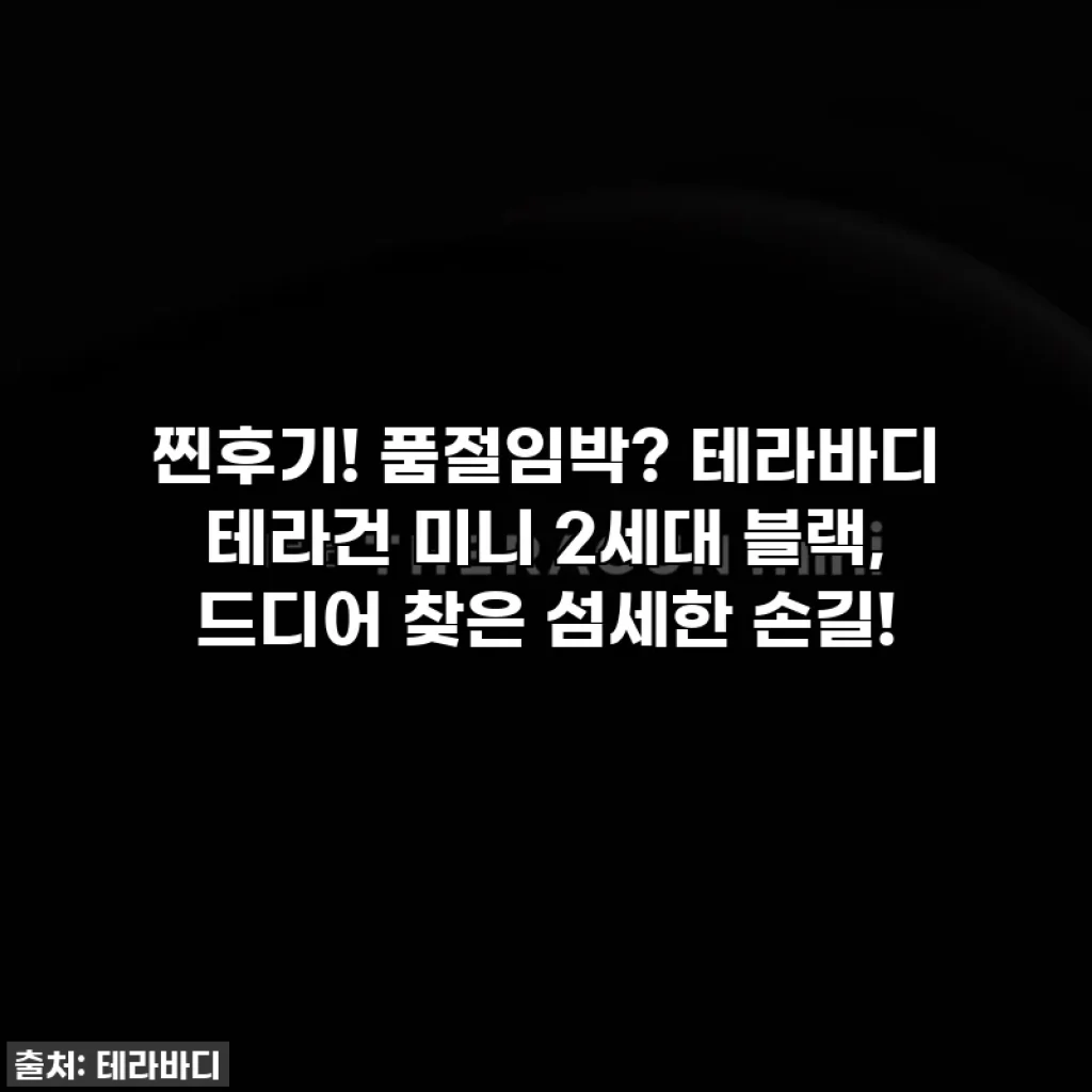 찐후기! 품절임박? 테라바디 테라건 미니 2세대 블랙, 드디어 찾은 섬세한 손길!