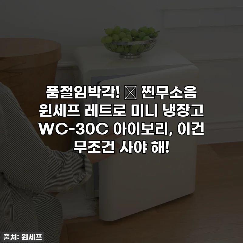 품절임박각! 🤫 찐무소음 윈세프 레트로 미니 냉장고 WC-30C 아이보리, 이건 무조건 사야 해!