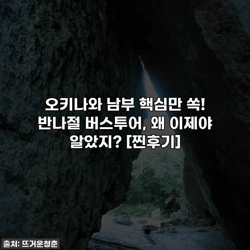 오키나와 남부 핵심만 쏙! 반나절 버스투어, 왜 이제야 알았지? [찐후기]