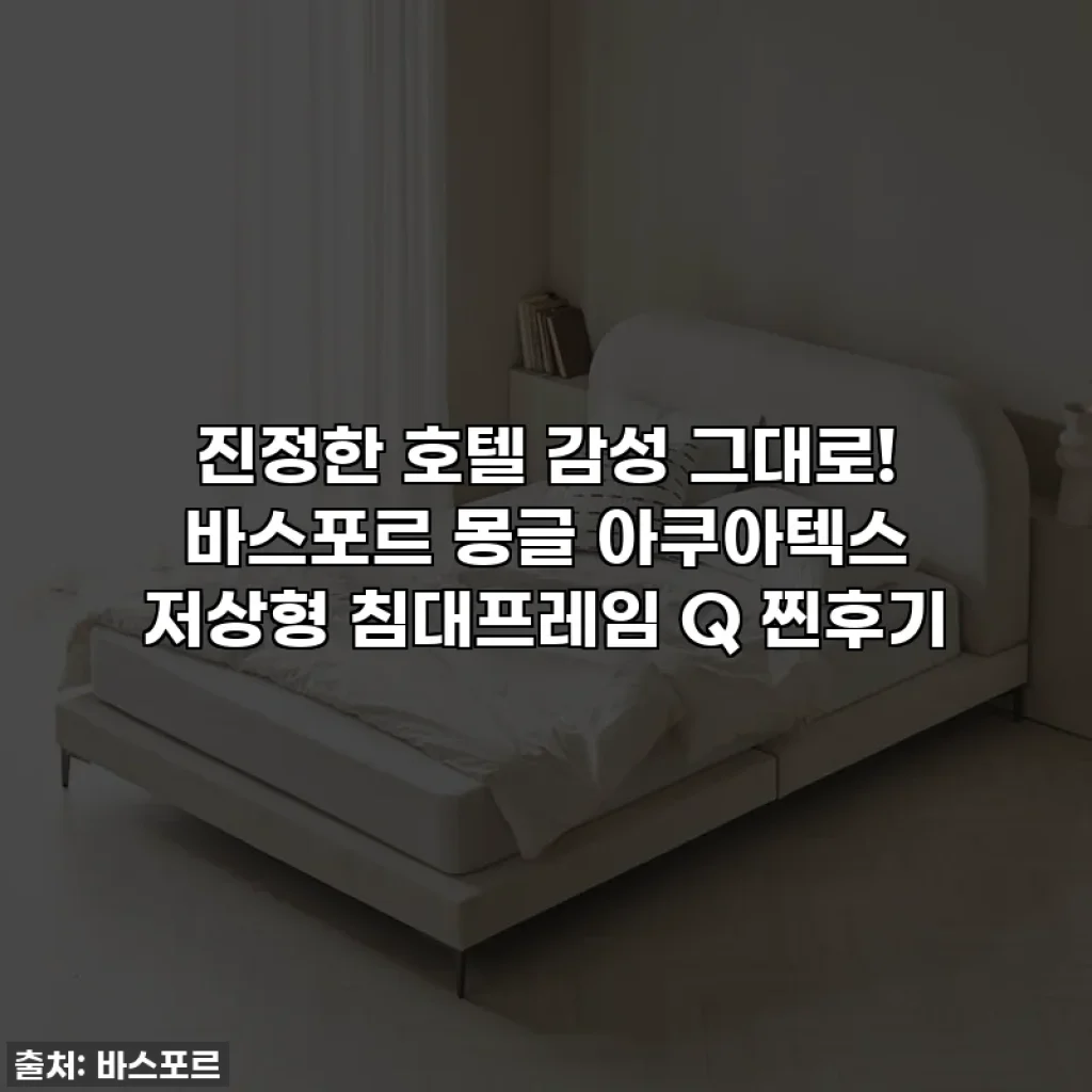 진정한 호텔 감성 그대로! 바스포르 몽글 아쿠아텍스 저상형 침대프레임 Q 찐후기
