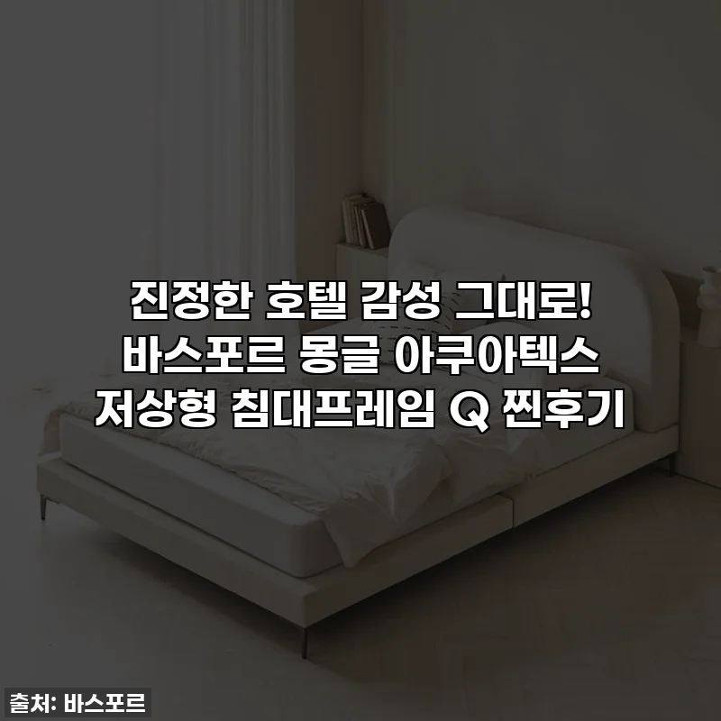진정한 호텔 감성 그대로! 바스포르 몽글 아쿠아텍스 저상형 침대프레임 Q 찐후기