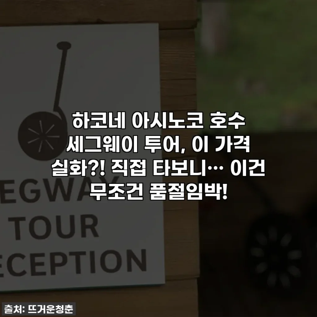 하코네 아시노코 호수 세그웨이 투어, 이 가격 실화?! 직접 타보니… 이건 무조건 품절임박!