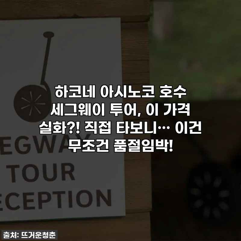 하코네 아시노코 호수 세그웨이 투어, 이 가격 실화?! 직접 타보니… 이건 무조건 품절임박!