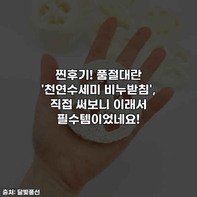 찐후기! 품절대란 '천연수세미 비누받침', 직접 써보니 이래서 필수템이었네요!