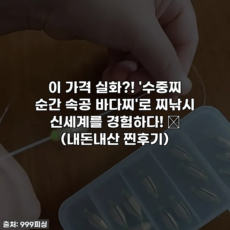 이 가격 실화?! '수중찌 순간 속공 바다찌'로 찌낚시 신세계를 경험하다! 🎣 (내돈내산 찐후기)
