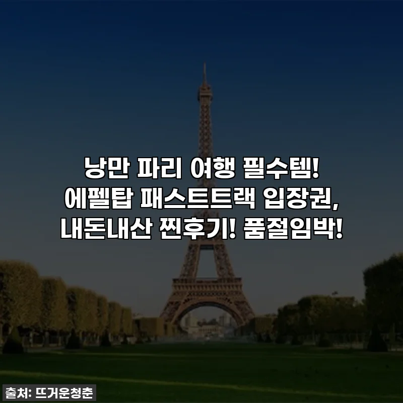 낭만 파리 여행 필수템! 에펠탑 패스트트랙 입장권, 내돈내산 찐후기! 품절임박!