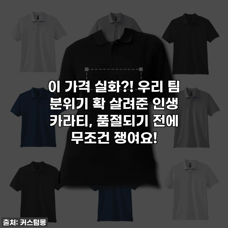 이 가격 실화?! 우리 팀 분위기 확 살려준 인생 카라티, 품절되기 전에 무조건 쟁여요!