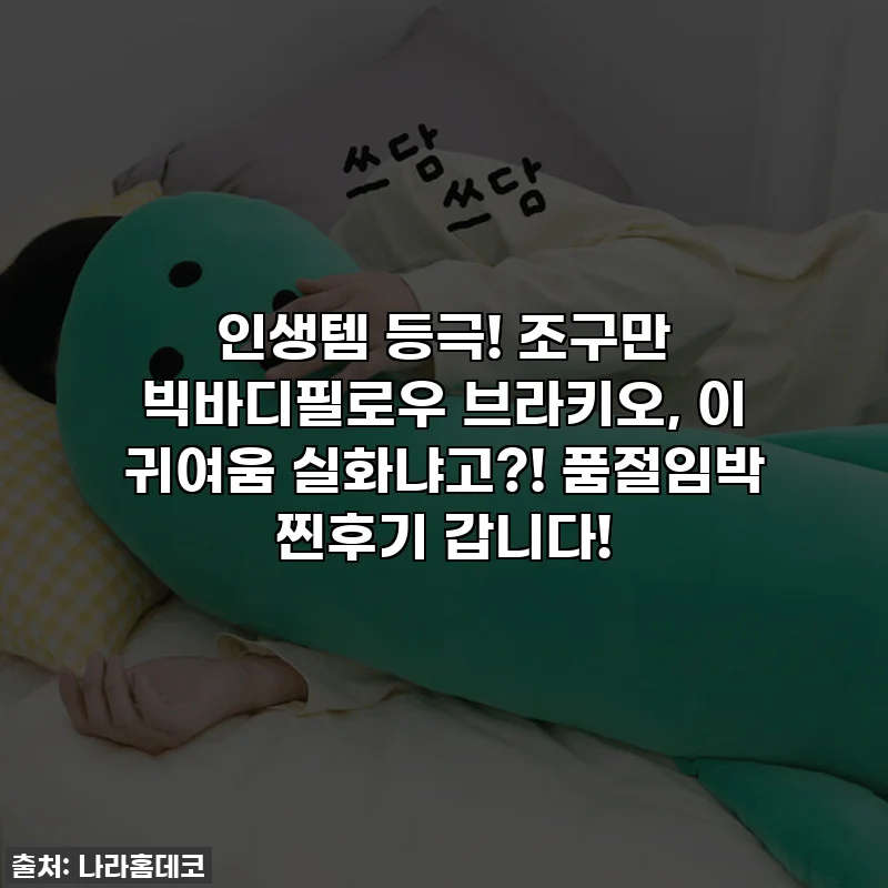 인생템 등극! 조구만 빅바디필로우 브라키오, 이 귀여움 실화냐고?! 품절임박 찐후기 갑니다!