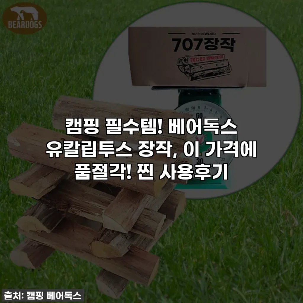캠핑 필수템! 베어독스 유칼립투스 장작, 이 가격에 품절각! 찐 사용후기