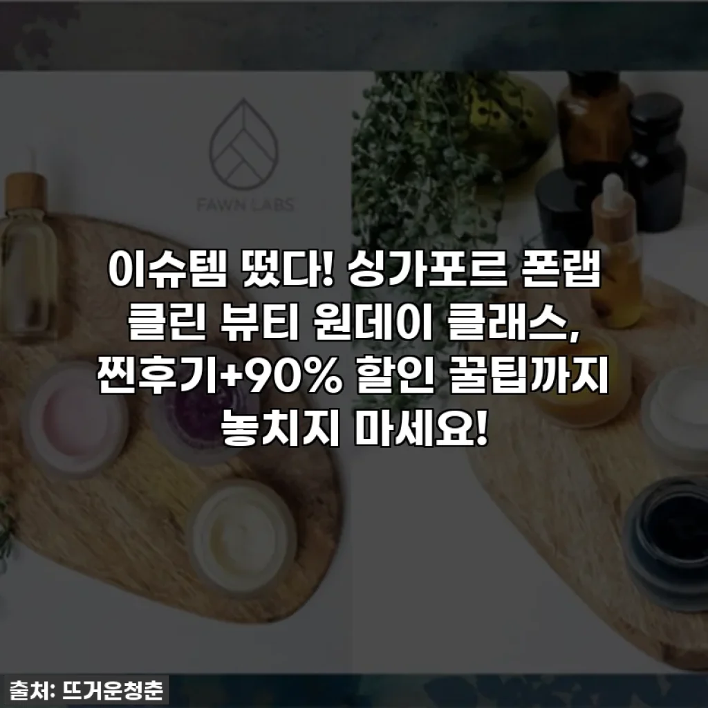 이슈템 떴다! 싱가포르 폰랩 클린 뷰티 원데이 클래스, 찐후기+90% 할인 꿀팁까지 놓치지 마세요!