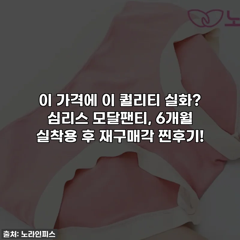 이 가격에 이 퀄리티 실화? 심리스 모달팬티, 6개월 실착용 후 재구매각 찐후기!